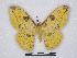  ( - BC-SK0142)  @14 [ ] Copyright (2010) Unspecified Research Collection of Steve Kohll