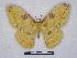  ( - BC-SK0143)  @14 [ ] Copyright (2010) Unspecified Research Collection of Steve Kohll