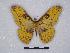  ( - BC-SK0145)  @14 [ ] Copyright (2010) Unspecified Research Collection of Steve Kohll