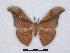  ( - BC-SK0214)  @14 [ ] Copyright (2010) Unspecified Research Collection of Steve Kohll