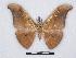  ( - BC-SK0216)  @13 [ ] Copyright (2010) Unspecified Research Collection of Steve Kohll