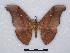  ( - BC-SK0221)  @13 [ ] Copyright (2010) Unspecified Research Collection of Steve Kohll