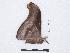  ( - BC-SK0259)  @13 [ ] Copyright (2010) Unspecified Research Collection of Steve Kohll