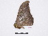  ( - BC-SK0284)  @13 [ ] Copyright (2010) Unspecified Research Collection of Steve Kohll
