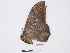  ( - BC-SK0285)  @13 [ ] Copyright (2010) Unspecified Research Collection of Steve Kohll