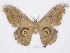  ( - BC-SK0287)  @12 [ ] Copyright (2010) Unspecified Research Collection of Steve Kohll