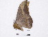  ( - BC-SK0289)  @12 [ ] Copyright (2010) Unspecified Research Collection of Steve Kohll