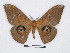  ( - BC-SK0301)  @13 [ ] Copyright (2010) Unspecified Research Collection of Steve Kohll