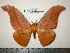  ( - barcode SNB 0048)  @11 [ ] Copyright (2010) Unspecified Research Collection of Stefan Naumann