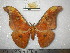  ( - barcode SNB 0162)  @14 [ ] Copyright (2010) Unspecified Research Collection of Stefan Naumann