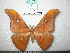  ( - barcode SNB 0167)  @13 [ ] Copyright (2010) Unspecified Research Collection of Stefan Naumann