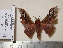  ( - barcode SNB 635)  @13 [ ] Copyright (2010) Unspecified Research Collection of Stefan Naumann