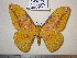  ( - barcode SNB 757)  @13 [ ] Copyright (2010) Unspecified Research Collection of Stefan Naumann
