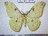  ( - barcode SNB 775)  @14 [ ] Copyright (2010) Unspecified Research Collection of Stefan Naumann