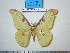  ( - barcode SNB 776)  @13 [ ] Copyright (2010) Unspecified Research Collection of Stefan Naumann