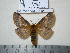  ( - barcode SNB 1319)  @13 [ ] Copyright (2010) Unspecified Research Collection of Stefan Naumann