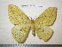  ( - barcode SNB 1687)  @13 [ ] Copyright (2010) Unspecified Research Collection of Stefan Naumann