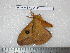  ( - barcode SNB 2141)  @12 [ ] Copyright (2010) Stefan Naumann Research Collection of Stefan Naumann
