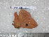  ( - barcode SNB 2150)  @12 [ ] Copyright (2010) Stefan Naumann Research Collection of Stefan Naumann