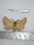  ( - barcode SNB 2218)  @14 [ ] Copyright (2010) Stefan Naumann Research Collection of Stefan Naumann
