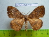  ( - barcode SNB 2513)  @14 [ ] Copyright (2010) Stefan Naumann Research Collection of Stefan Naumann