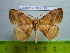  ( - barcode SNB 2515)  @14 [ ] Copyright (2010) Stefan Naumann Research Collection of Stefan Naumann