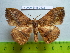  ( - barcode SNB 2522)  @13 [ ] Copyright (2010) Stefan Naumann Research Collection of Stefan Naumann
