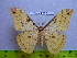  ( - barcode SNB 2645)  @14 [ ] Copyright (2010) Stefan Naumann Research Collection of Stefan Naumann