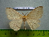  ( - barcode SNB 3055)  @12 [ ] Copyright (2010) Stefan Naumann Research Collection of Stefan Naumann