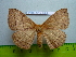  ( - barcode SNB 3058)  @12 [ ] Copyright (2010) Stefan Naumann Research Collection of Stefan Naumann