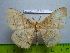  ( - barcode SNB 3081)  @12 [ ] Copyright (2010) Stefan Naumann Research Collection of Stefan Naumann