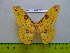  ( - barcode SNB 3409)  @13 [ ] Copyright (2012) Stefan Naumann Research Collection of Stefan Naumann