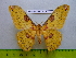  ( - barcode SNB 3410)  @13 [ ] Copyright (2012) Stefan Naumann Research Collection of Stefan Naumann