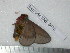  ( - barcode SNB 3626)  @12 [ ] Copyright (2012) Stefan Naumann Research Collection of Stefan Naumann