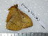 ( - barcode SNB 3669)  @12 [ ] Copyright (2012) Stefan Naumann Research Collection of Stefan Naumann