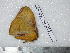  ( - barcode SNB 3670)  @12 [ ] Copyright (2012) Stefan Naumann Research Collection of Stefan Naumann