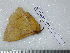  ( - barcode SNB 3710)  @12 [ ] Copyright (2012) Stefan Naumann Research Collection of Stefan Naumann
