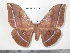  ( - barcode SNB 4094)  @15 [ ] Copyright (2012) Stefan Naumann Research Collection of Stefan Naumann