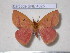  ( - barcode SNB 4325)  @13 [ ] Copyright (2012) Stefan Naumann Research Collection of Stefan Naumann
