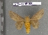  ( - barcode SNB 4401)  @12 [ ] Copyright (2012) Stefan Naumann Research Collection of Stefan Naumann