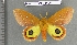  ( - barcode SNB 4405)  @14 [ ] Copyright (2012) Stefan Naumann Research Collection of Stefan Naumann