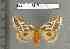  ( - barcode SNB 4427)  @12 [ ] Copyright (2012) Stefan Naumann Research Collection of Stefan Naumann