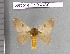  ( - barcode SNB 4460)  @11 [ ] Copyright (2012) Stefan Naumann Research Collection of Stefan Naumann