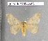  ( - barcode SNB 4463)  @13 [ ] Copyright (2012) Stefan Naumann Research Collection of Stefan Naumann