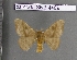  ( - barcode SNB 4469)  @14 [ ] Copyright (2012) Stefan Naumann Research Collection of Stefan Naumann