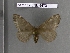  ( - barcode SNB 4473)  @13 [ ] Copyright (2012) Stefan Naumann Research Collection of Stefan Naumann