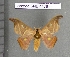  ( - barcode SNB 4478)  @14 [ ] Copyright (2012) Stefan Naumann Research Collection of Stefan Naumann