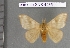  ( - barcode SNB 4485)  @14 [ ] Copyright (2012) Stefan Naumann Research Collection of Stefan Naumann