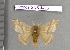  ( - barcode SNB 4493)  @12 [ ] Copyright (2012) Stefan Naumann Research Collection of Stefan Naumann