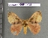  ( - barcode SNB 4494)  @14 [ ] Copyright (2012) Stefan Naumann Research Collection of Stefan Naumann